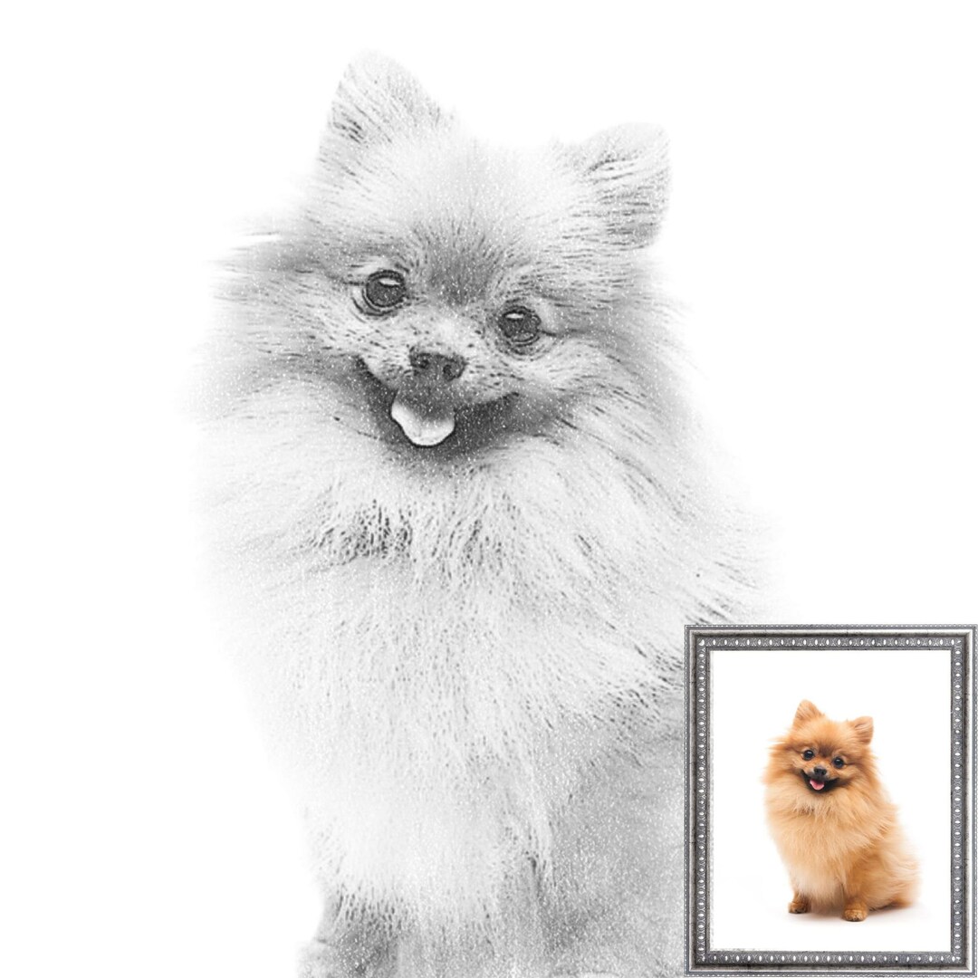 Custom Pet Pencil Portrait Hand Drawn Realistic Sketch From Photos ...