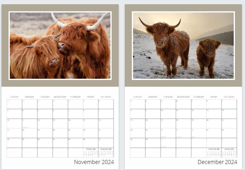 2024 Highland Cow Calendar Etsy highland-cow-desk-calendar-2024-desktop-calendar-highland-cow-calendar-2024-2025-perfect-for