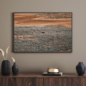 Lone Bison Photography Print| Photography Print | Home Decor | Wall Art