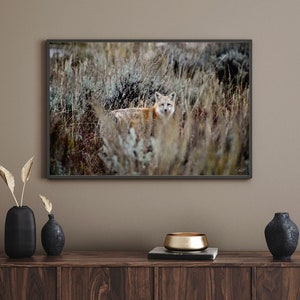 Fox Photography Print| Photography Print | Home Decor | Wall Art