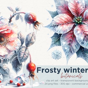 Frosty Winter Botanicals Clipart Floral, PNG, Commercial Use