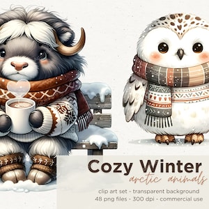 48 Acogedores imágenes prediseñadas de animales árticos de invierno, imágenes prediseñadas de acuarela, gráficos de acuarela de animales polares, foca, pingüino, oso, lobo, vacaciones de invierno png