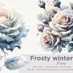 Clipart floral de roses d'hiver givré, clipart fleurs, clipart hiver, rose PNG, usage Commercial
