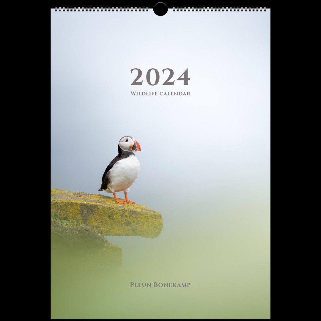 Wildlife Calendar 2024 A3 Pleun - Etsy