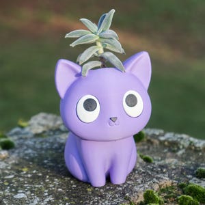 Può includere: Un vaso a forma di gatto viola con grandi occhi rotondi e un naso piccolo. Una piccola pianta succulenta spunta dalla sommità della testa del gatto. Il vaso è appoggiato su una roccia muschiosa, con uno sfondo verde sfocato.