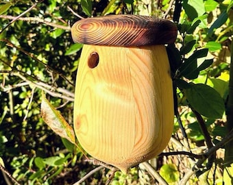 Acorn Bird House