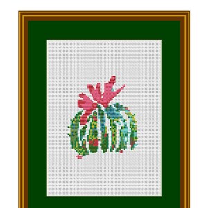 May include: A framed cross-stitch design of a cactus with pink flowers and green leaves. The word "Cactus" is written above the design.