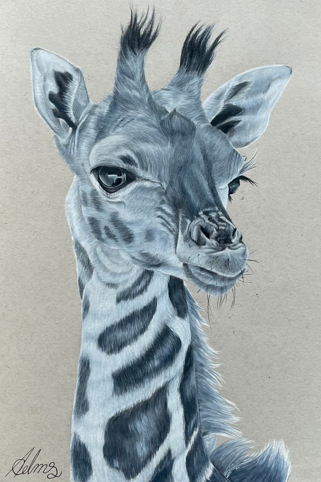 High-quality Fine Art Print Giraffe Frieda -21x30- Colored Pencil