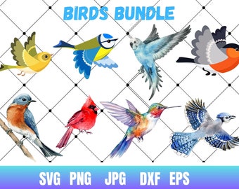 Bird Clipart, Silhouettes, Animal SVG, PNG, JPG (Digital Download)