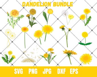 Löwenzahn SVG, farbige Löwenzahn Blume SVG, Löwenzahn Vektor, Löwenzahn Cricut, Löwenzahn Clipart, Silhouette, Clip Art, Löwenzahn Schnittdatei
