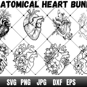 Anatomical Heart svg bundle, Flower Heart Svg, Human Heart Svg, Anatomy Svg, Heart SVG, Medical Svg, Cut File For Cricut, Silhouette