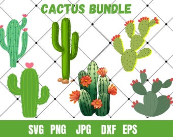 Cactus SVG,Cactus svg files for cricut,Cactus svg Bundle,PNG,DXF,Cactus Cut ifle,Cricut,Silhouette,Commercial use