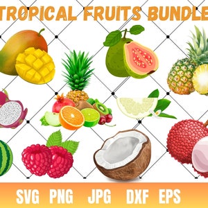 Tropical Fruit Clipart, High Quality Transparent PNGs, Instant Download, Commercial Use