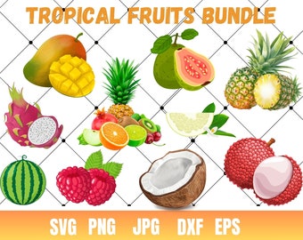 Clipart de frutas tropicales, PNG transparentes (descarga instantánea)