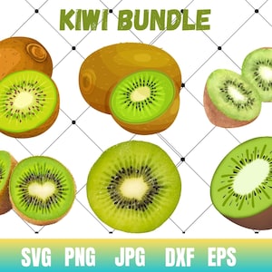 File SVG di frutta Kiwi / File tagliati SVG di frutta Kawaii / File vettoriali SVG di fette di frutta Kiwi / Kiwi Seeds Vector