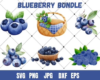 Blueberry svg bundle, fruit svg, svg designs, Blueberry clipart, Blueberry png, vector file