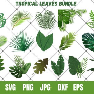 Exotic Tropical Leaves Printables ,Jungle Botanical Greenery svg,Printable Leaves,Palm leaves,Nature clipart, Monstera leaf, Tropical party