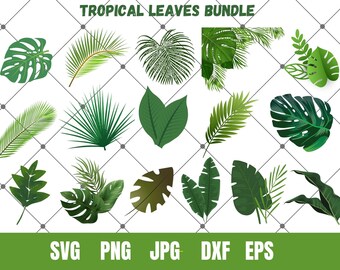 Exotic Tropical Leaves Printables ,Jungle Botanical Greenery svg,Printable Leaves,Palm leaves,Nature clipart, Monstera leaf, Tropical party