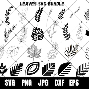 Paquete SVG de hojas, Imágenes Prediseñadas de hojas, Laurel Svg, Ramas Svg, Paquete de hojas, Vector, Cricut, Silueta, Hoja de arce Svg, Svg botánico