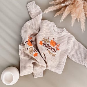 May include: A beige knit sweater with the words "little PUMPKIN margot" and a pumpkin graphic in orange and brown. The sweater has long sleeves and a ribbed hem and cuffs. The words "little" and a pumpkin graphic are also on the sleeve.
