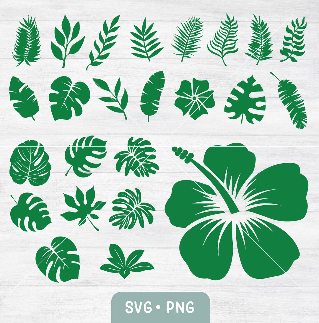 TROPICAL LEAVES SVG Bundle Tropical Leaf Svg Monstera Svg - Etsy
