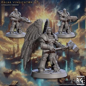 May include: A grey plastic miniature figure of a female warrior with wings, holding a large hammer. The figure is standing on a round base. The background is a blurred image of a fantasy landscape.