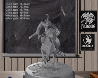 May include: A gray miniature of a rider on a dinosaur, mounted on a round base. The image includes text indicating scale measurements in millimeters, and logos for TBLTGOODS and Rescale Miniatures.