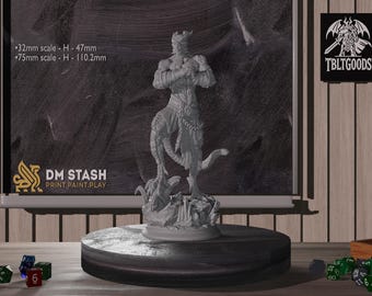 DragonBorn Warrior Miniature | Resin Toy | Premium DnD Mini | DragonBorn | Tabletop Mini |Sanded & Primed | Resin 3D Printed |32mm 75mm|