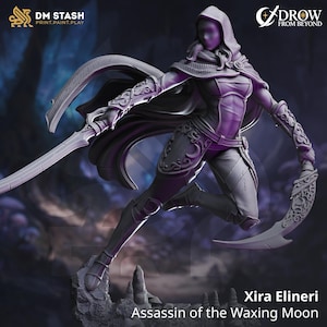 Può includere: Figurina stampata in 3D di Xira Eliner, Assassin of the Waxing Moon, in posa dinamica. La figura è vestita con armatura e mantello con cappuccio, brandendo due lame ricurve. La base presenta un terreno roccioso. L'immagine include i loghi di DM STASH e DROW FROM BEYOND.