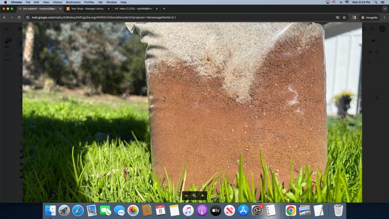 May include: A close-up of a brown and white soil mix in a clear plastic bag. The bag is sitting on a bed of green grass.