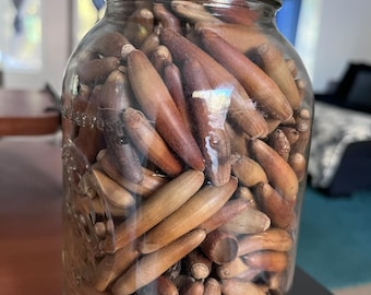 Organic Acorns, Hand-Picked from Southern California