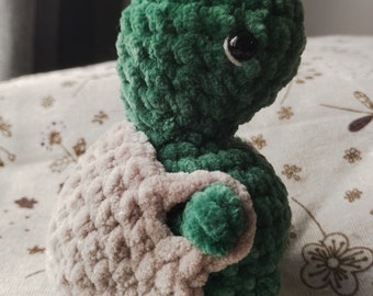 Tronc de la tortue, butin de tortue au crochet, tortue aux fesses