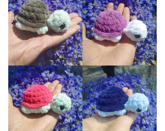 Mini tortues READY To Ship