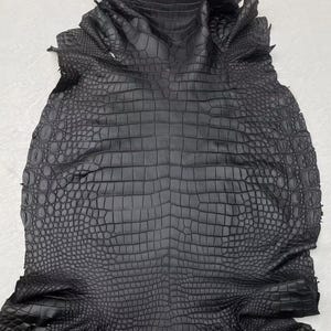Könnte beinhalten: Ein flaches, schwarzes, gegerbtes Tierfell mit einem ausgeprägten, symmetrischen und erhabenen Schuppenmuster auf der gesamten Oberfläche. Die Textur zeichnet sich durch rechteckige Schuppen in der Mitte und kleinere, abgerundete Schuppen aus.