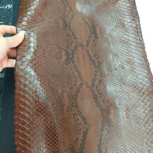 May include: Close-up of a piece of brown snakeskin leather with a scale pattern. The leather has dark brown and black markings. The texture is visible, and a hand is holding the edge of the leather.