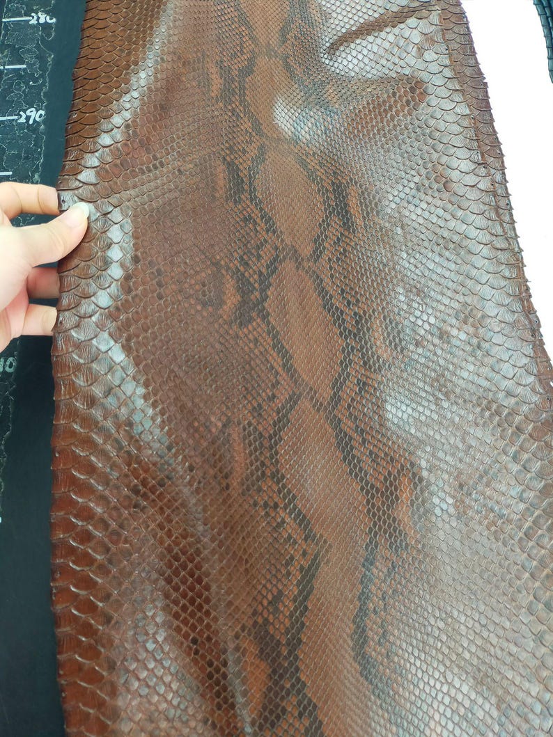 May include: Close-up of a piece of brown snakeskin leather with a scale pattern. The leather has dark brown and black markings. The texture is visible, and a hand is holding the edge of the leather.