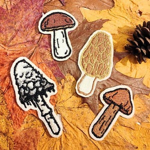 Può includere: Quattro toppe di funghi ricamate in vari stili. Le toppe sono di colore marrone, beige e bianco con dettagli neri. Le toppe sono su uno sfondo di foglie autunnali marroni e gialle.
