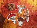 Mushroom iron-on patch product logo