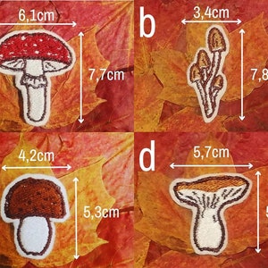 Pilze Aufnäher zum Aufbügeln Bild 7