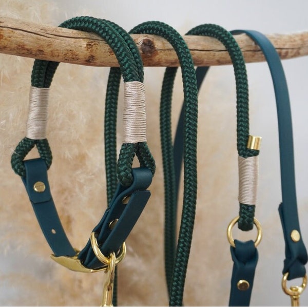 Set collar and leash made of rope and biothane - fir green
