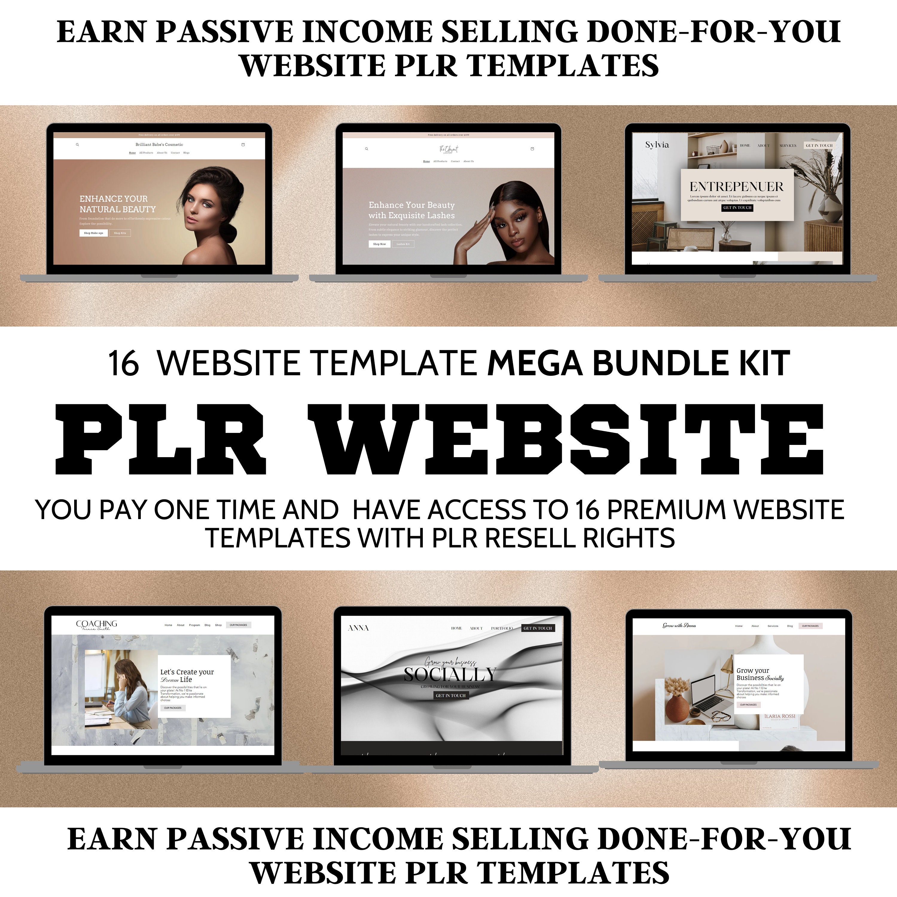 Plr Website , Resell Digital Products , Plr Website Templates , Plr ...