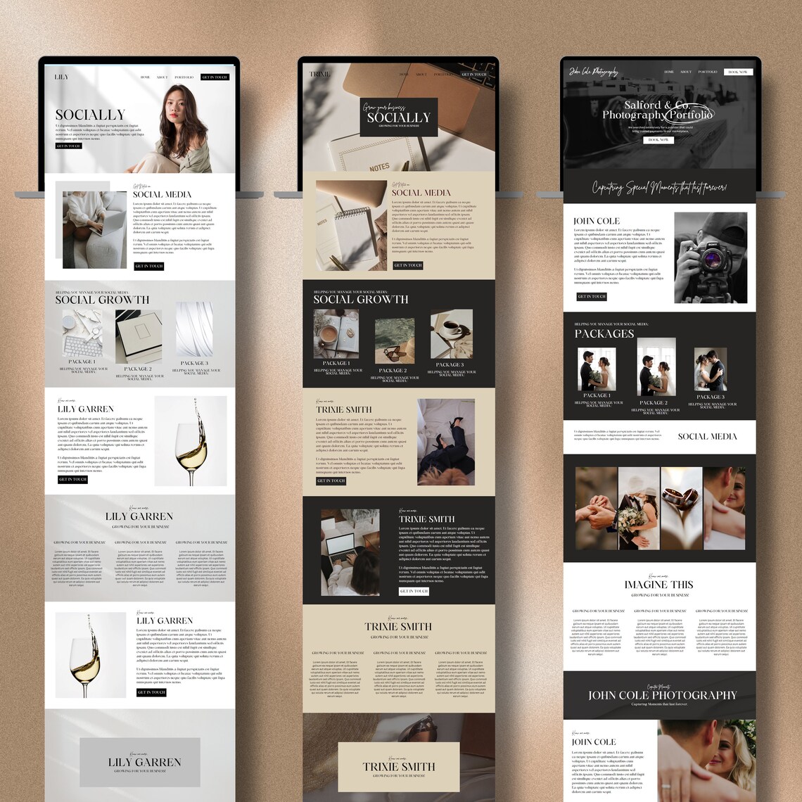 Plr Website , Resell Digital Products , Plr Website Templates , Plr