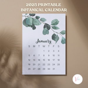 2025 Kalender mit Aquarell Blättern | Monatskalender | Kalender Sage Green | Botanischer Kalender