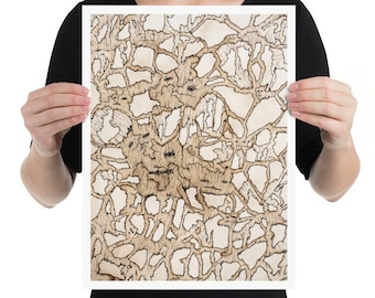 Print "Rot"