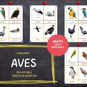 AVES Montessori · 40 tarjetas educativas fáciles de recortar · Fotos reales · Flashcards Montessori · PDFs editables · Ideal para niños