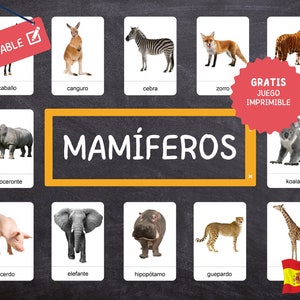 MAMMIFÈRES Montessori · ESPAGNOL · 24 cartes éducatives faciles à découper · Photos réelles · Cartes Flash éditables · Idéal pour les enfants