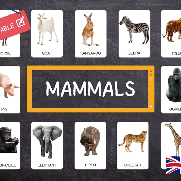 MAMMALS Montessori · ENGLISH · 24 easy-to-cut educational cards · Real photos · Montessori Flashcards · Editable PDFs · Ideal for children