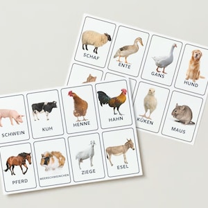 フラッシュカード 家畜 |おもちゃの分類カード 動物 |モンテッソーリ I ドイツ語 - デジタル ファイル|言語学習カード|モンテッソーリ言語バスケット