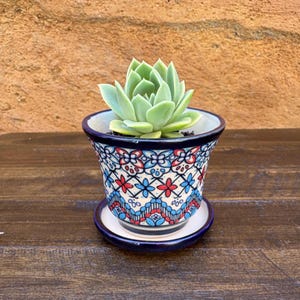 Op de afbeelding: Een kleine vetplant in een decoratieve keramische pot met een bijpassende schotel. De pot heeft een blauw, rood en wit bloemmotief. De vetplant heeft lichtgroene bladeren. De achtergrond is bruin.