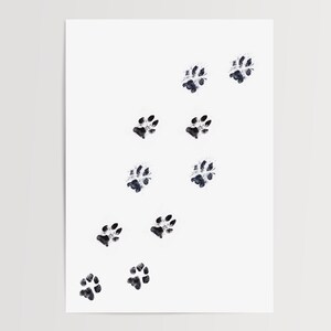 May include: A white background with a series of black paw prints in a diagonal line. The paw prints are of varying sizes and are slightly blurred.